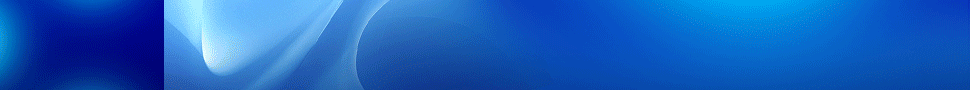 Business Intelligence Buyer's Guide
