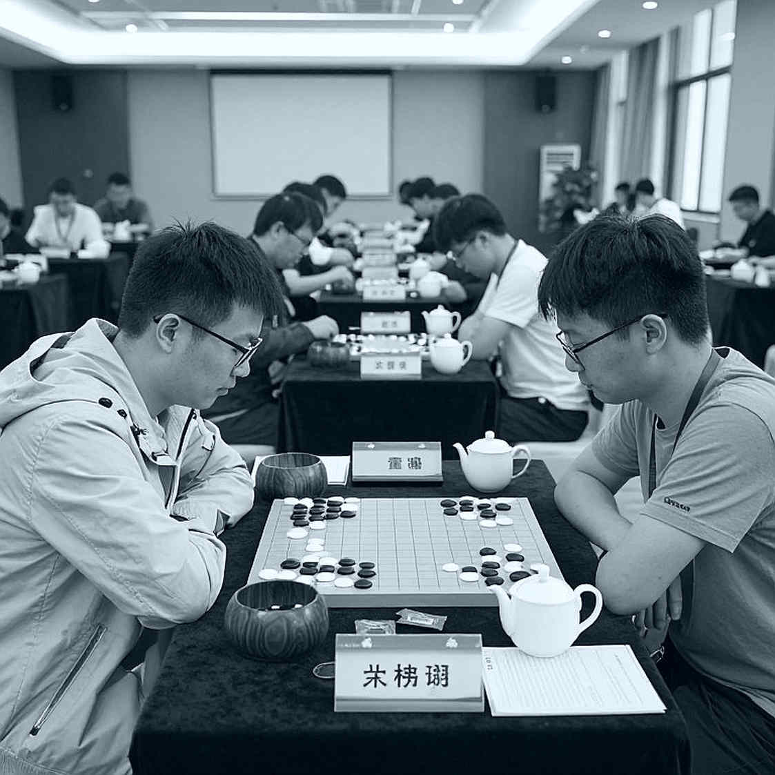 দাবা যেখানে ক্যামেরা হারায়: SCHACH-এর ইংরেজি সংস্করণ আর সেন্ট লুইসের হিসাবের খাতা